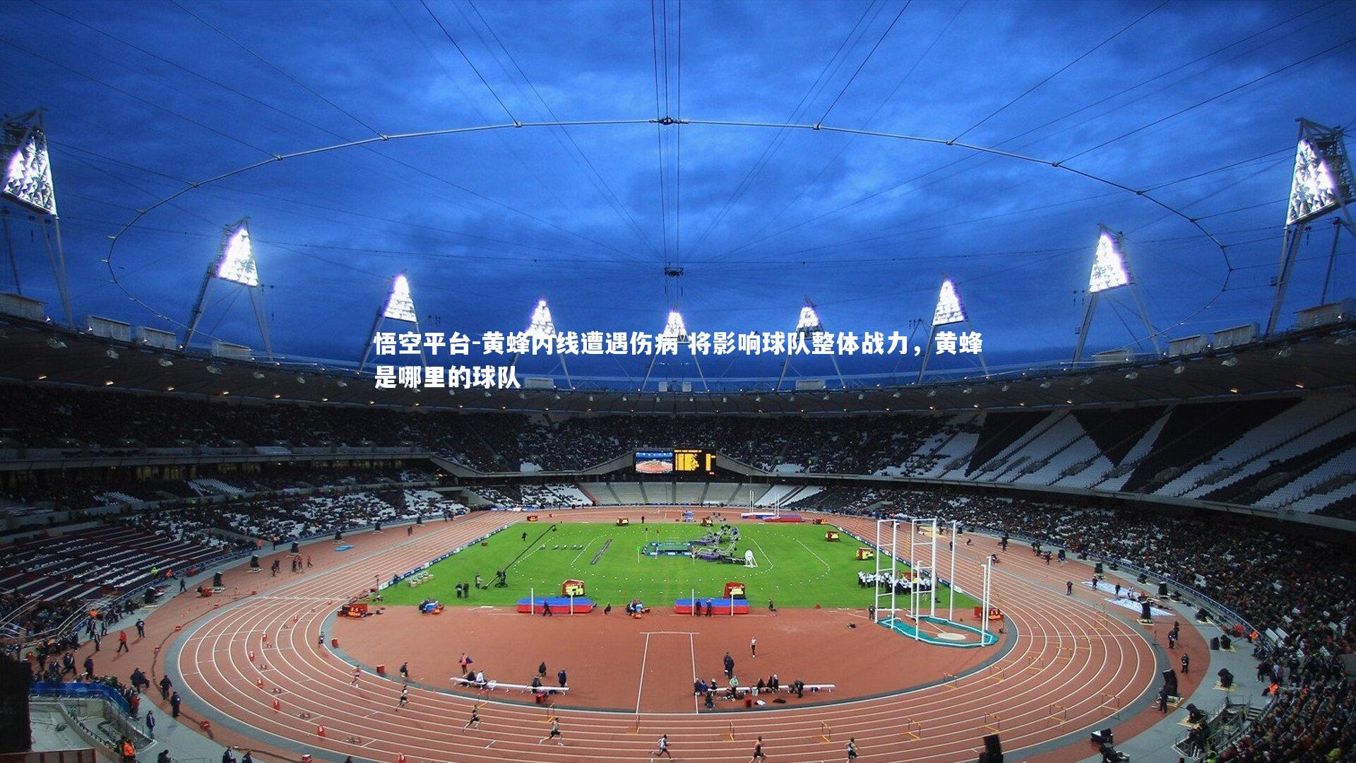 黄蜂内线遭遇伤病 将影响球队整体战力，黄蜂是哪里的球队