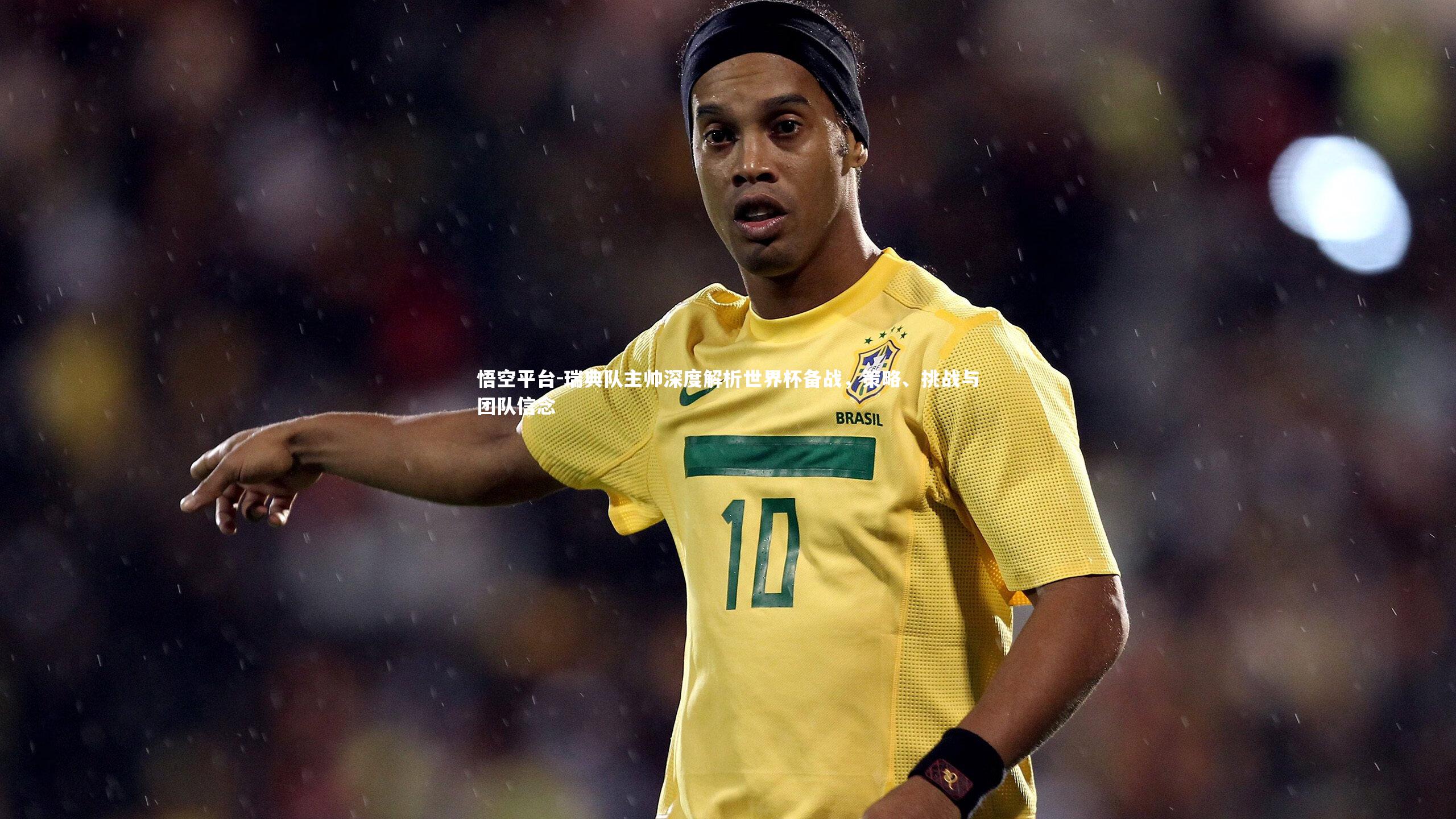 瑞典队主帅深度解析世界杯备战,策略、挑战与团队信念